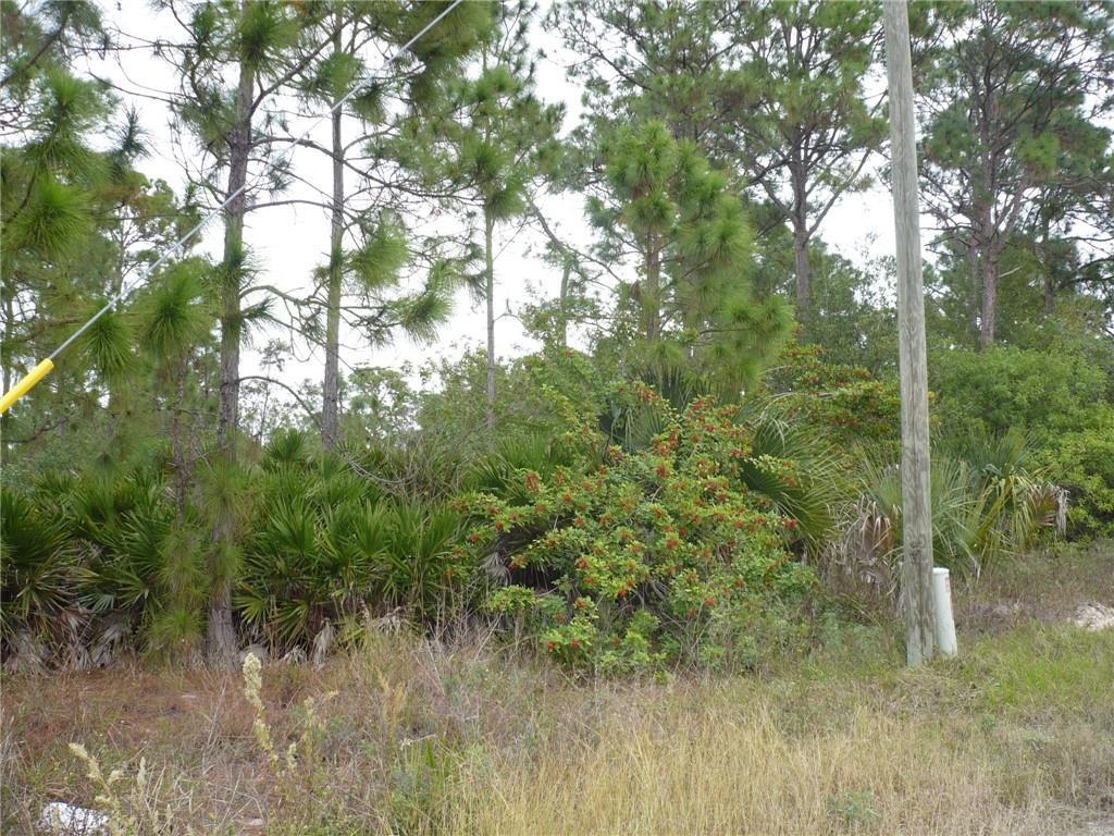 320 G Road, FL 33935, FL — photo 3 of 8