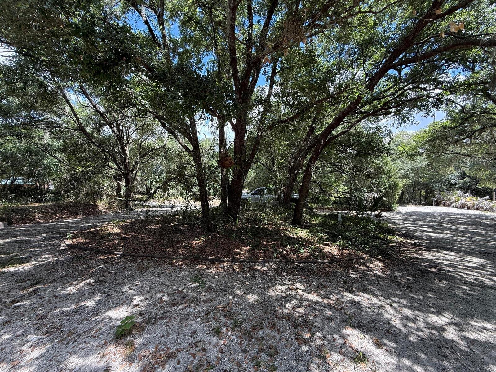 A circular gravel driveway surrounds a central cluster of mature trees in a wooded area — 18561 NW 306th Street, Okeechobee FL 34972, OKEECHOBEE, FL