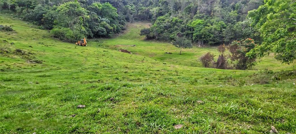 An aerial view shows rolling green hills and pastures with dense forest patches — Carr 626 BO CALICHOZA, ARECIBO, PR