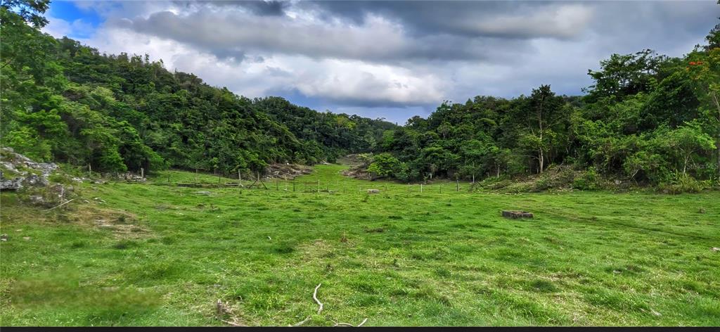 An aerial view of a lush, hilly landscape with dense forests and grassy valleys — Carr 626 BO CALICHOZA, ARECIBO, PR