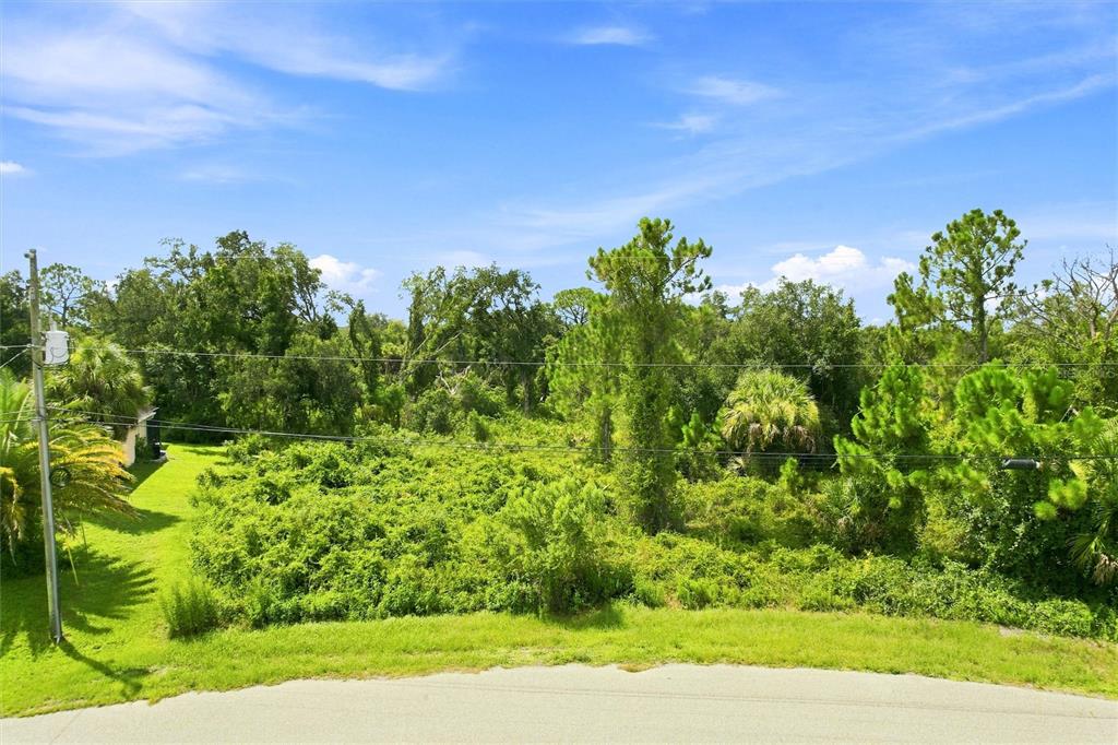 A vacant, overgrown lot sits behind a paved road under a blue sky — NYBERG ROAD, NORTH PORT, FL