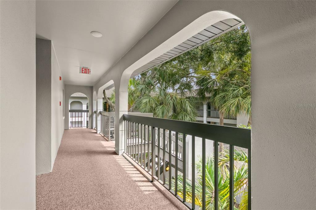 An outdoor apartment building walkway features arched openings, a black metal railing, and carpeted flooring — 3399 MERMOOR DRIVE UNIT 309, PALM HARBOR, FL