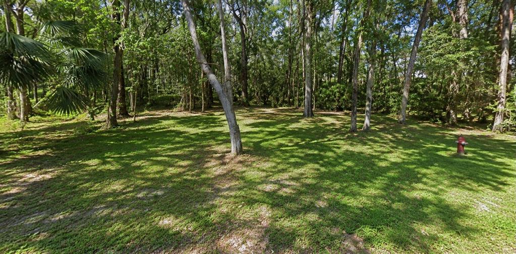 A grassy, wooded lot features a fire hydrant on the right side of the frame — OAKDALE AVENUE, BROOKSVILLE, FL