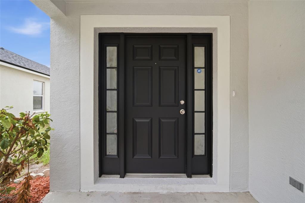 A black front door with sidelights is framed by white trim on a stucco exterior — 10604 LAKESIDE VISTA DRIVE, RIVERVIEW, FL