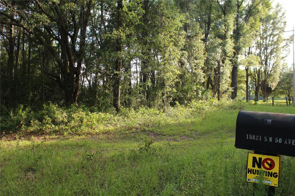 A mailbox with a no hunting sign sits in front of a wooded lot — 15821 SW 50TH AVENUE, ARCHER, FL