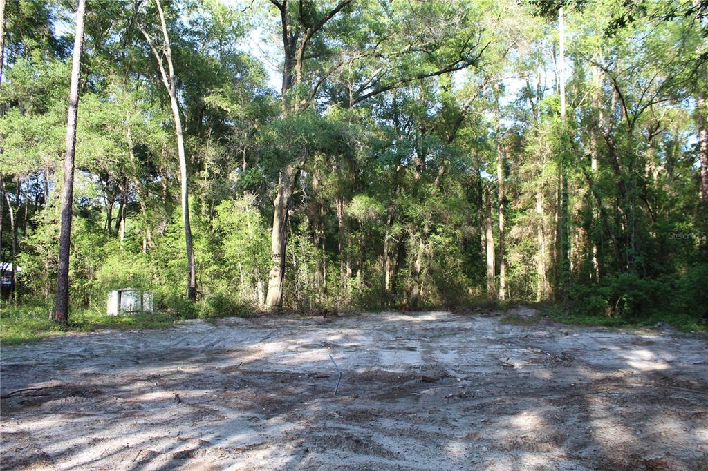 A cleared, sandy lot is bordered by a dense forest of mature trees — 15821 SW 50TH AVENUE, ARCHER, FL