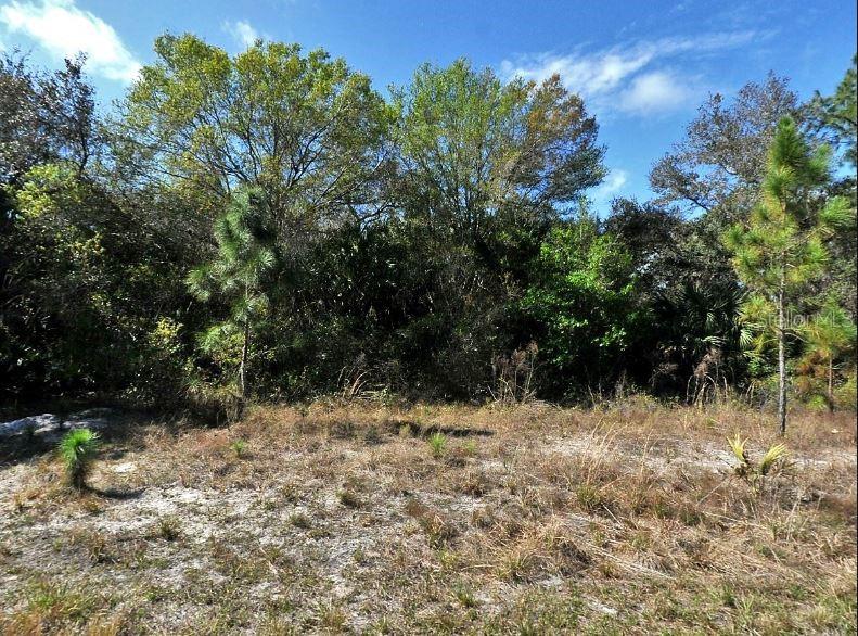A view of a vacant, sandy lot with scattered small pines and dense woods behind — VANOVER TERRACE, NORTH PORT, FL