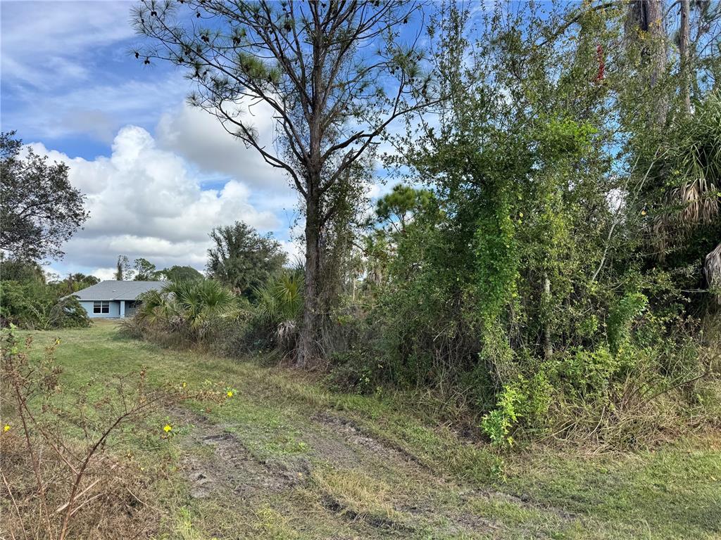 A grassy, unpaved path leads toward a wooded area with a house visible in the distance — ZUBER LANE, NORTH PORT, FL