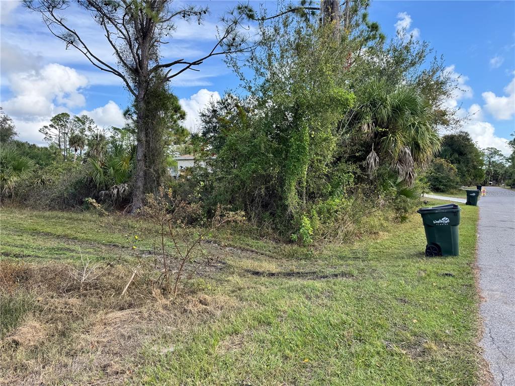 A vacant, overgrown residential lot with trees and shrubs next to a paved road — ZUBER LANE, NORTH PORT, FL
