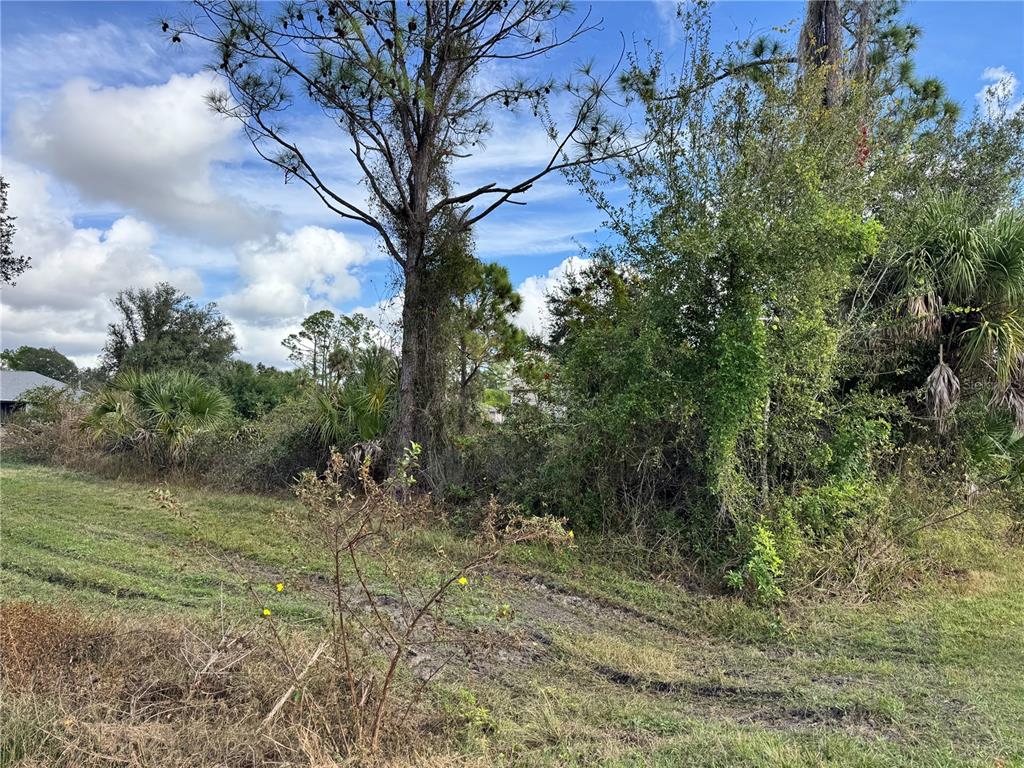 A grassy lot features a large pine tree and dense vegetation under a cloudy sky — ZUBER LANE, NORTH PORT, FL