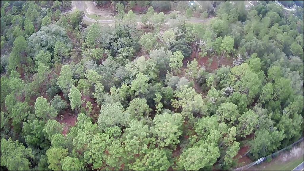 An aerial view of a densely wooded lot with a dirt path visible at the top — 10522 N ELKCAM BOULEVARD, CITRUS SPRINGS, FL