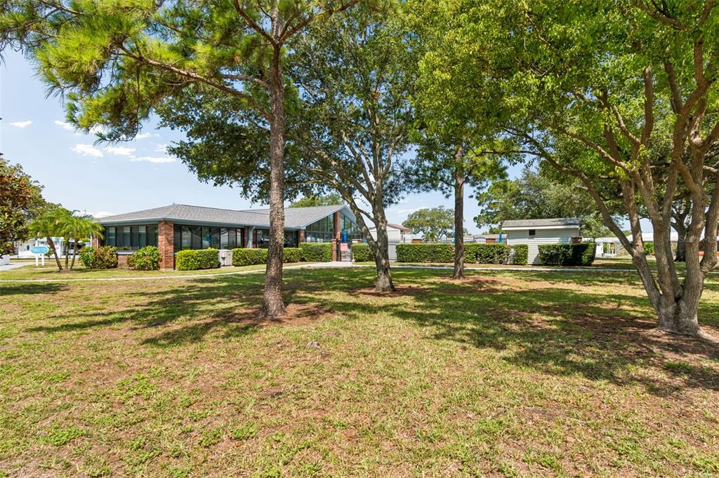 A grassy yard sits between two mobile homes under a clear blue sky — 9790 66TH STREET N UNIT 382, PINELLAS PARK, FL