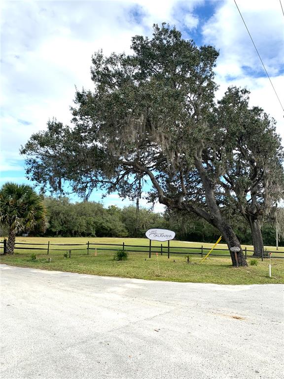 A large tree with Spanish moss stands in a grassy field behind a wooden fence — 15991 NE 243RD PLACE ROAD UNIT 54, FORT MC COY, FL