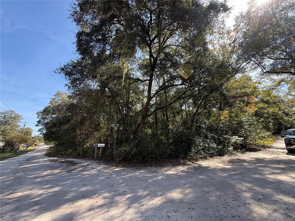 A dirt road intersection features a mailbox and dense trees under a bright sky — 00 SW 2ND PL, OCALA, FL