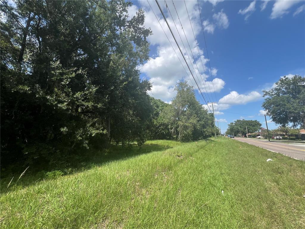 A grassy, wooded vacant lot sits adjacent to a paved road under a blue sky — 1308 E ALSOBROOK STREET, PLANT CITY, FL