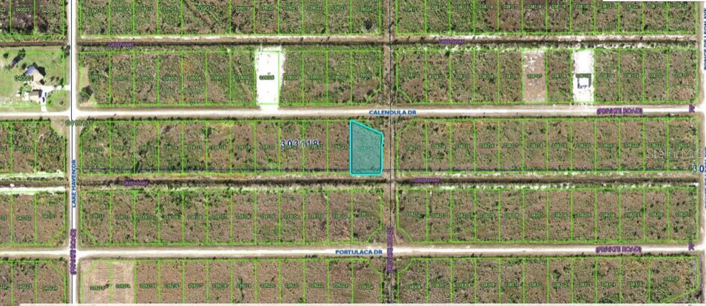 This is an aerial map showing a highlighted vacant lot situated between two dirt roads — 501 CALENDULA DRIVE, INDIAN LAKE ESTATES, FL