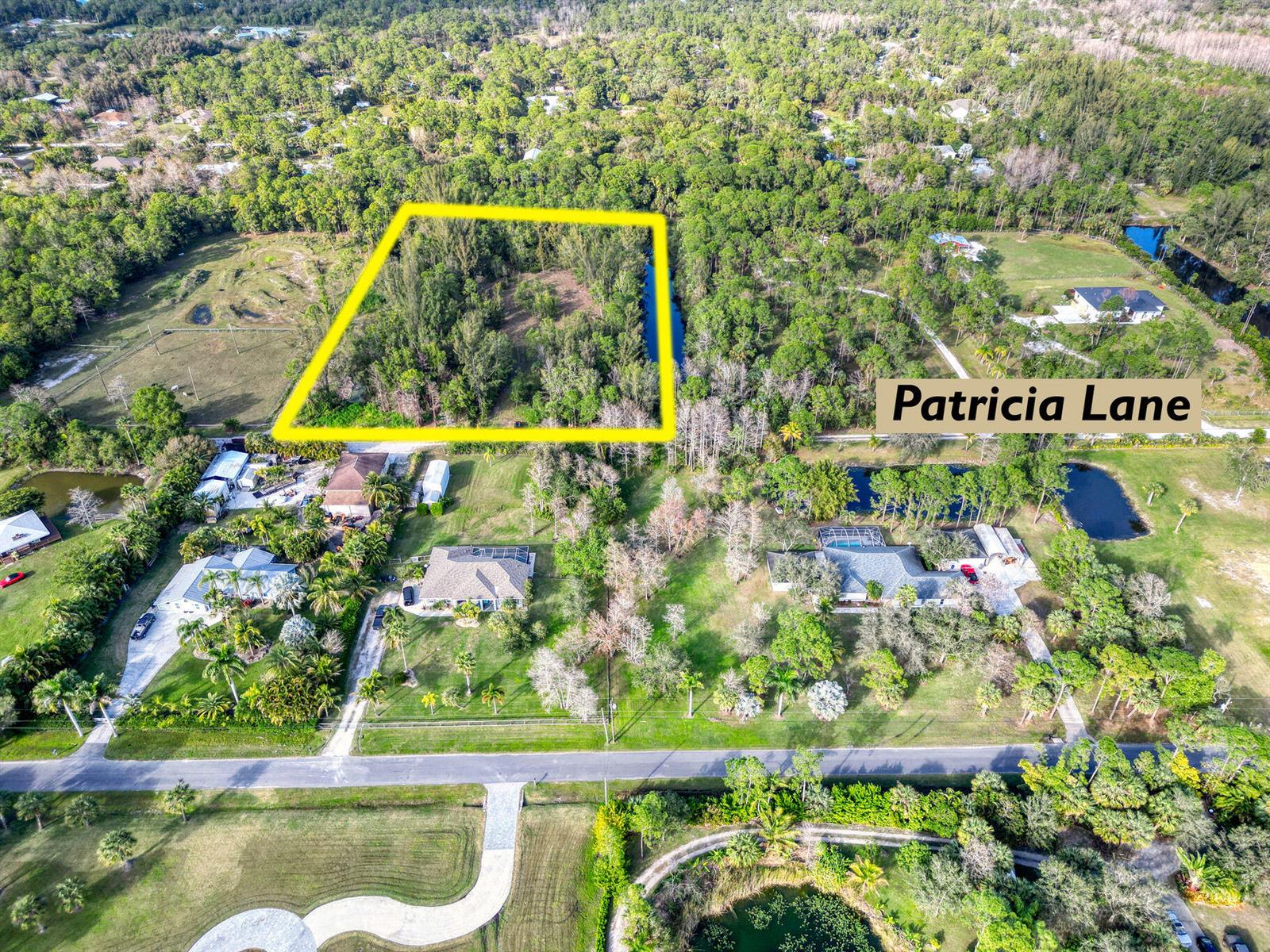 An aerial view shows a wooded lot outlined in yellow near a residential street — 9205 Patricia Lane, Jupiter FL 33478, JUPITER, FL