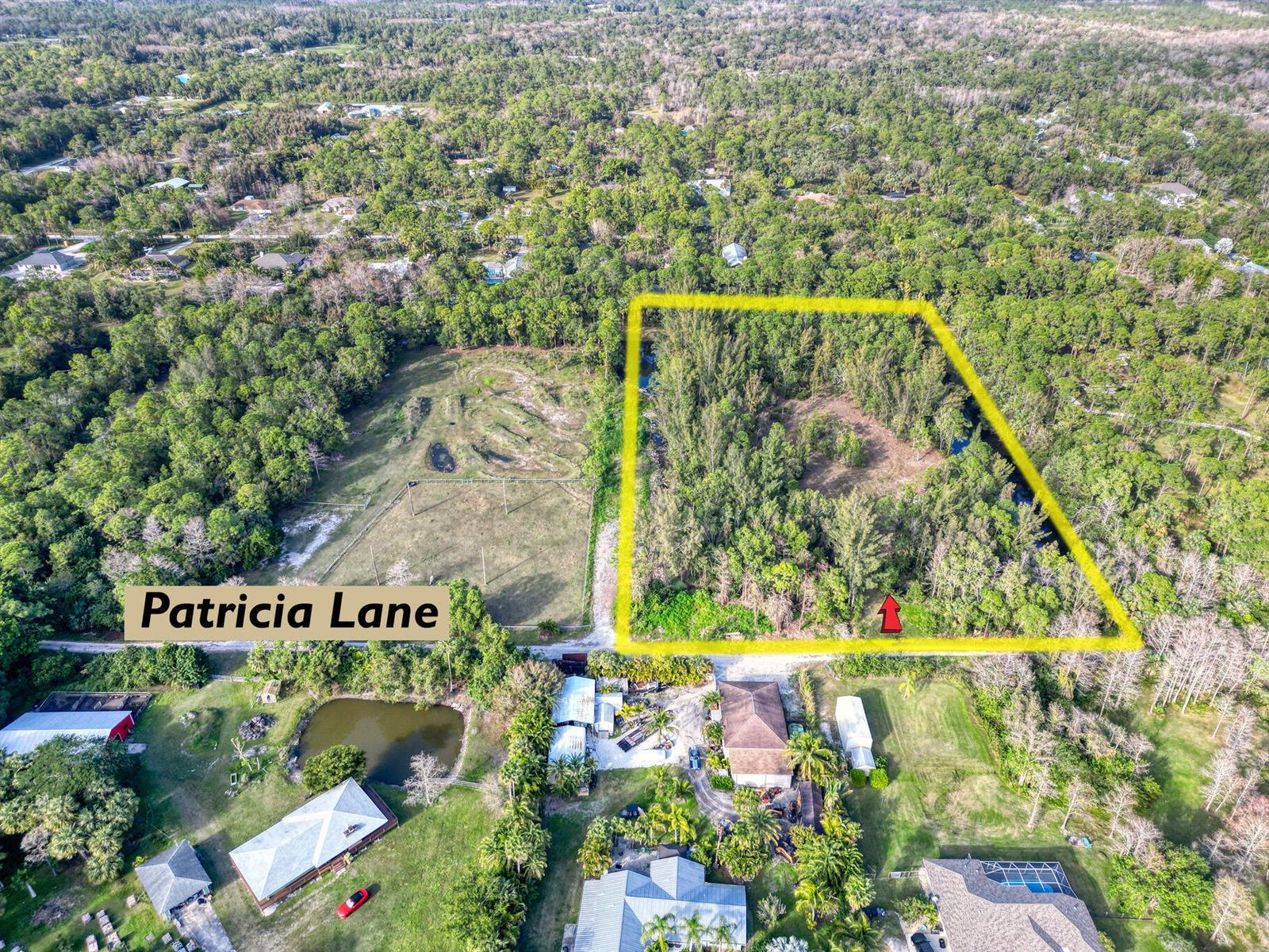 An aerial view shows a rectangular wooded lot outlined in yellow near a residential street — 9205 Patricia Lane, Jupiter FL 33478, JUPITER, FL