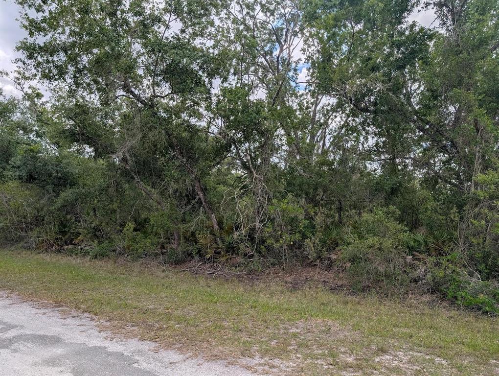 A gravel road runs alongside a dense, wooded lot with mature trees and underbrush — 1009 AZALEA DRIVE, INDIAN LAKE ESTATES, FL