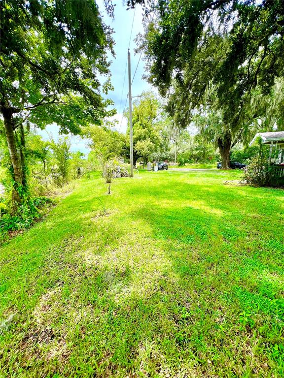 A grassy yard with mature trees, a utility pole, and a partial view of a house — 1008 GRAY STREET, PLANT CITY, FL
