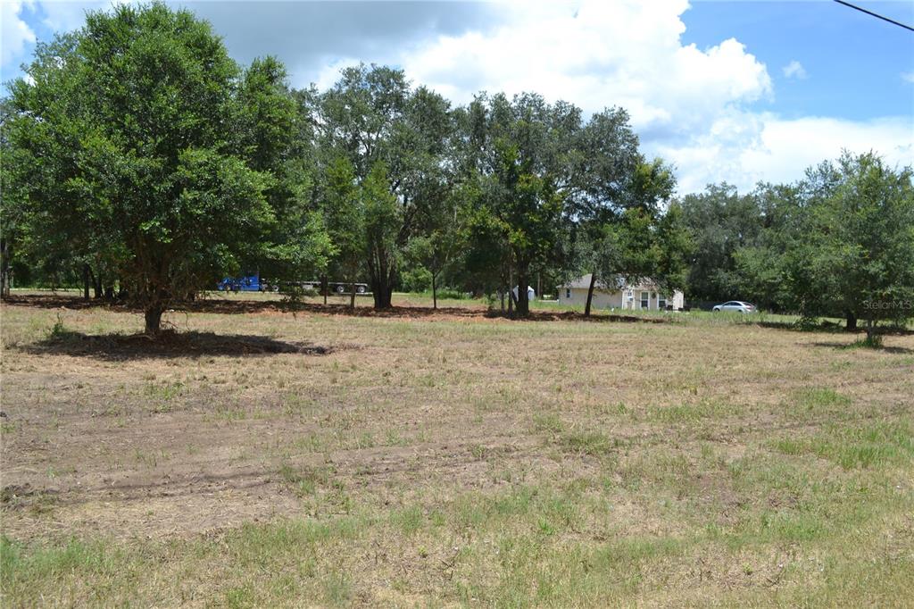 A large, cleared grassy lot features scattered mature trees under a partly cloudy sky — 00 W HWY 40, OCALA, FL