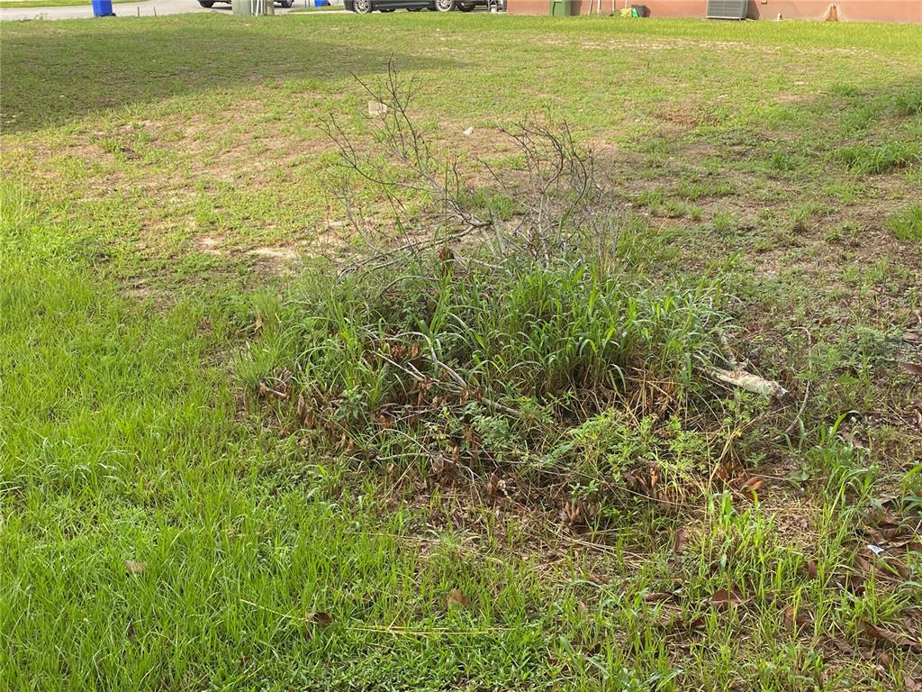 1304 SALISBURY DRIVE, WINTER HAVEN, FL — photo 3 of 5