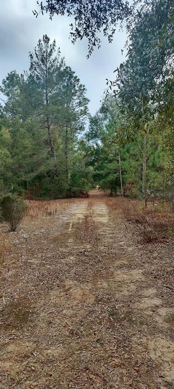 326 ELM TRAIL, INTERLACHEN, FL — photo 2 of 5