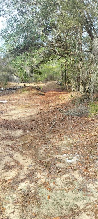 326 ELM TRAIL, INTERLACHEN, FL — photo 3 of 5