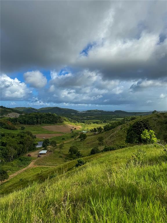 A high-angle view of a grassy hillside overlooking a valley with trees and a building — Carr 972 MARIANA, NAGUABO, PR
