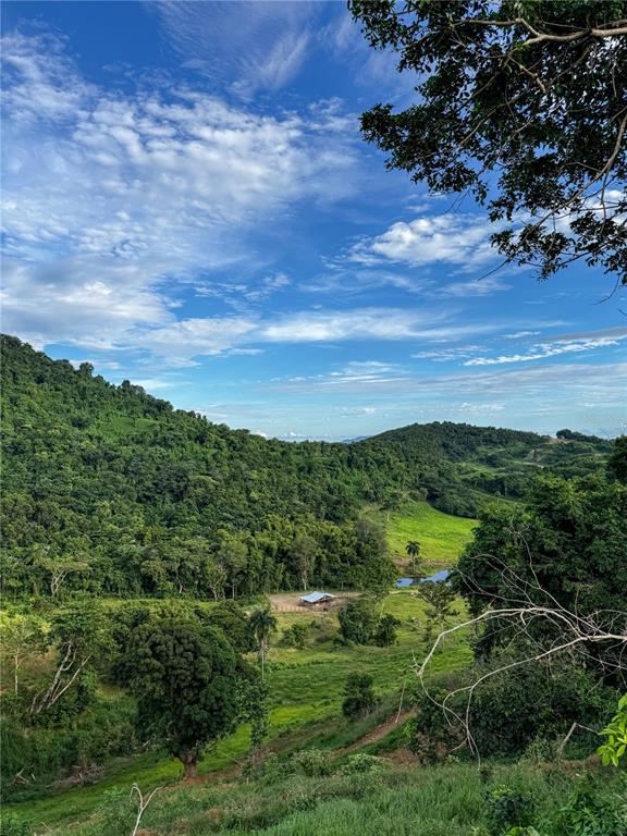A view of a lush, green, hilly landscape with a small structure and a pond — Carr 972 MARIANA, NAGUABO, PR
