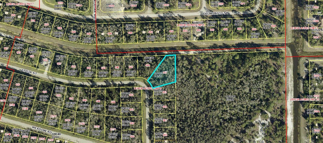 651 Lydia Street, Lehigh Acres FL 33974