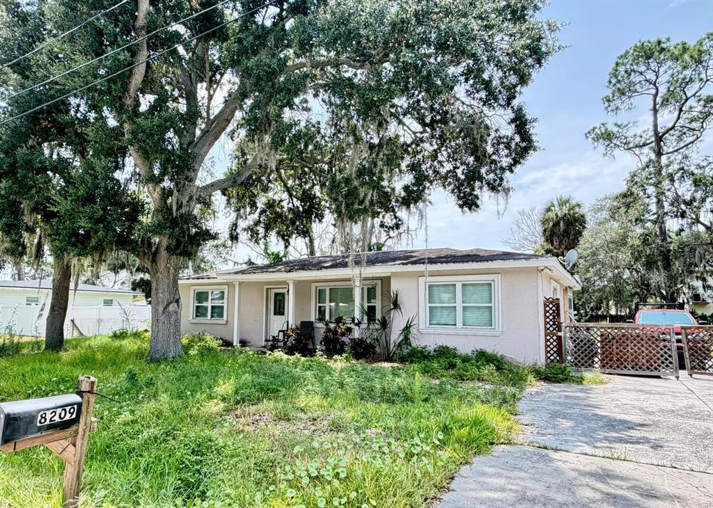 A single-story house with a light-colored exterior, a large tree, and a front lawn — 8209 PAPAYA STREET, PORT RICHEY, FL