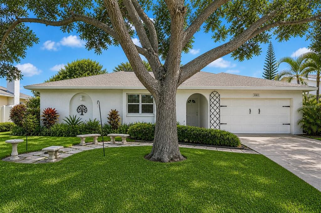 A white single-story house features a large tree in the front yard and a garage — 8083 BAYHAVEN DRIVE, SEMINOLE, FL