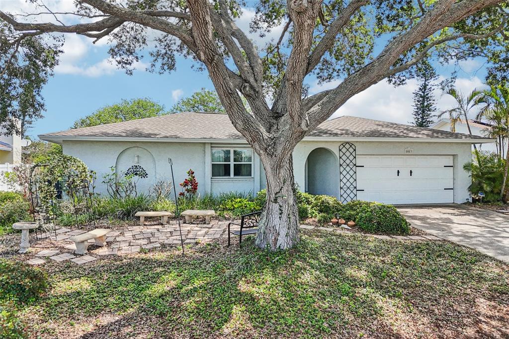 A single-story house with a white stucco exterior, a two-car garage, and a large tree — 8083 BAYHAVEN DRIVE, SEMINOLE, FL