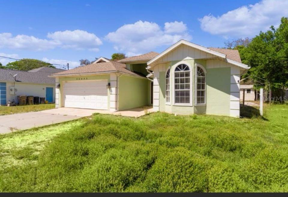 A light green single-story house with a two-car garage and an overgrown front lawn — 40045 PALM STREET, LADY LAKE, FL