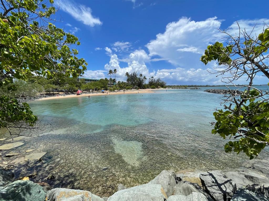 A view of a calm, clear tropical beach framed by trees and rocky foreground — K5 VILLAS DE PLAYA II UNIT K5, DORADO, PR