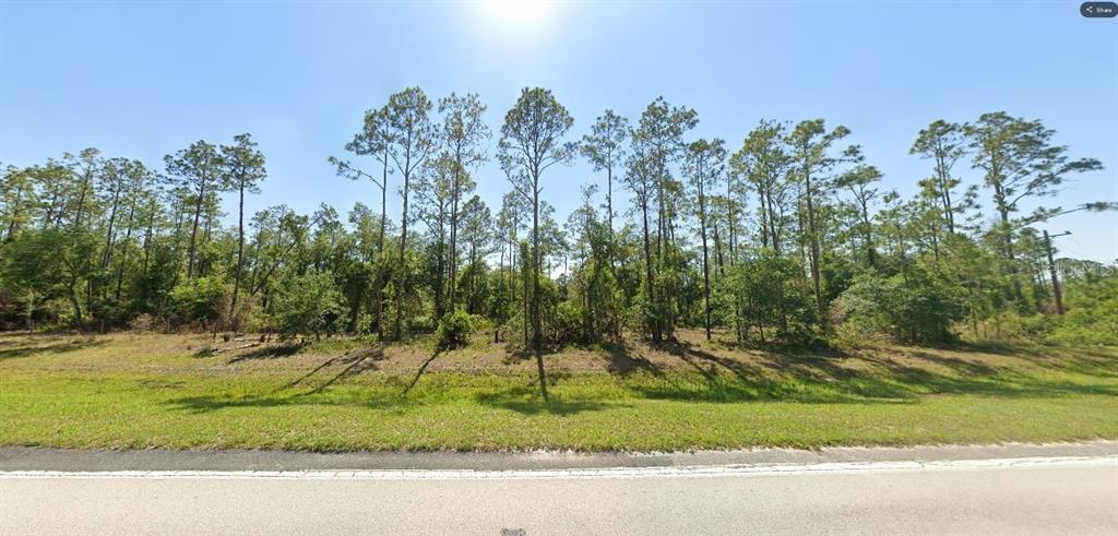 A vacant, wooded lot sits behind a grassy roadside verge under a clear blue sky — RIVER RANCH BOULEVARD, LAKE WALES, FL