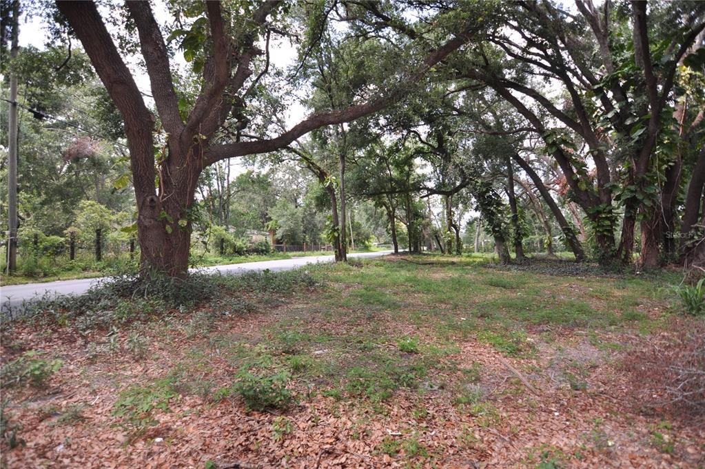6734 20TH STREET, ZEPHYRHILLS, FL — photo 4 of 6