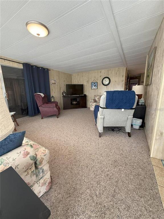 A living room features wood-paneled walls, beige carpeting, a television console, and several armchairs — 15 WILDERNESS DRIVE, LAKE PANASOFFKEE, FL