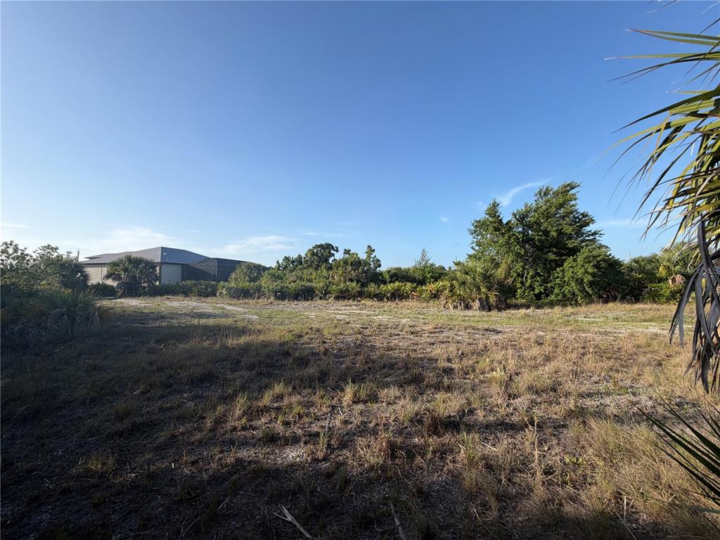 A vacant, grassy lot with surrounding trees and a house visible in the distance — 14149 PEEKSKILL AVENUE, PORT CHARLOTTE, FL