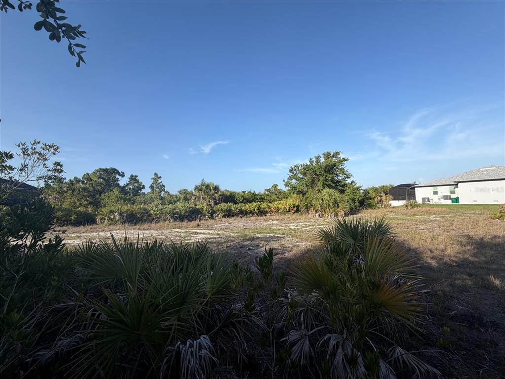 A vacant, sandy residential lot features native palmetto bushes and trees under a clear sky — 14149 PEEKSKILL AVENUE, PORT CHARLOTTE, FL