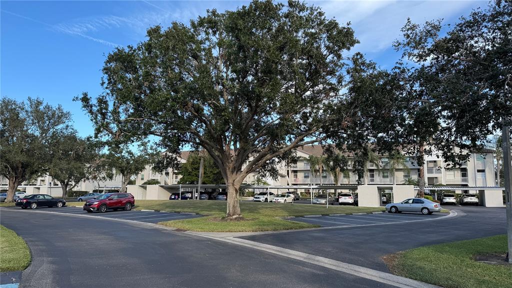 8735 OLDE HICKORY AVENUE UNIT 8306