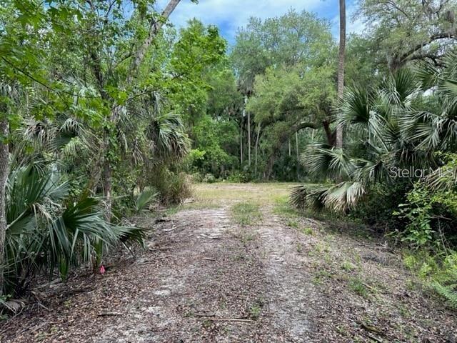 1747 TURTLE HILL ROAD, DELTONA, FL — photo 4 of 8