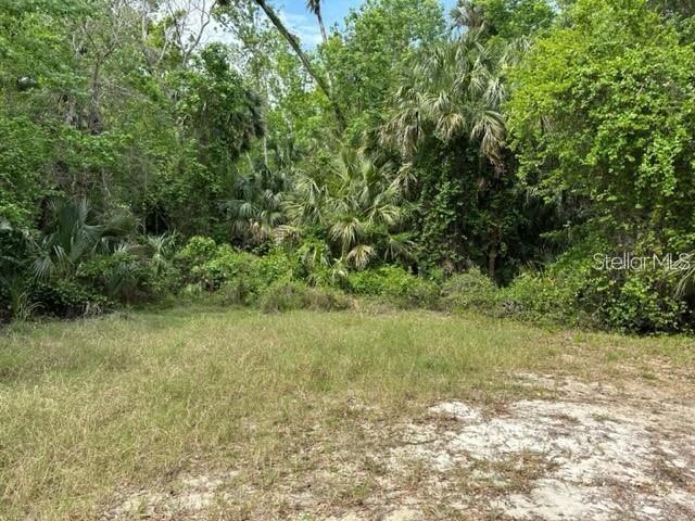 1747 TURTLE HILL ROAD, DELTONA, FL — photo 5 of 8