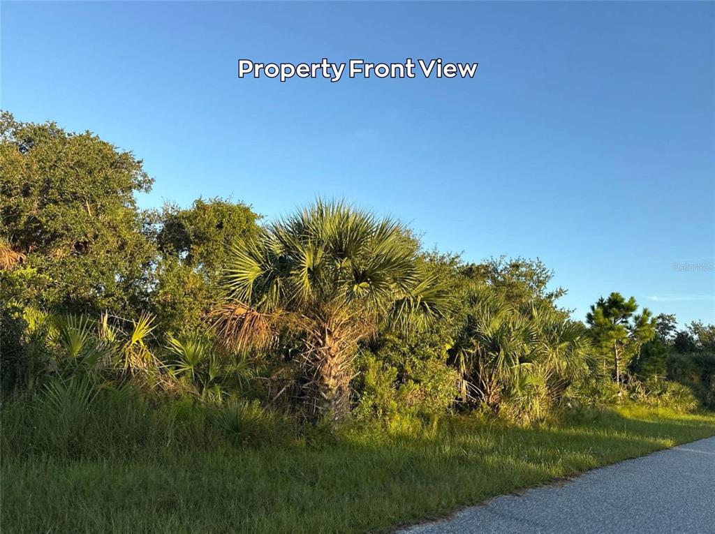 A view of a vacant, wooded lot with a palm tree along a paved road — 4387 SCHNEIDER STREET, PORT CHARLOTTE, FL