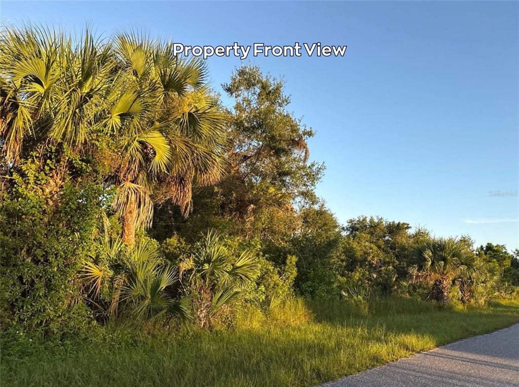 A view of a grassy roadside bordering a dense area of trees and palm plants — 4387 SCHNEIDER STREET, PORT CHARLOTTE, FL