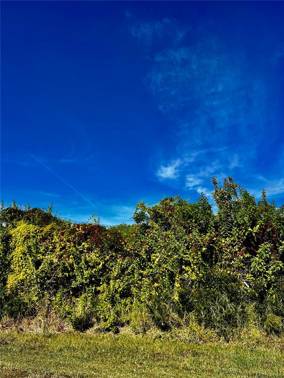 A view of a grassy field leading to a dense line of overgrown green bushes — 10245 WINSTEAD AVENUE, ENGLEWOOD, FL
