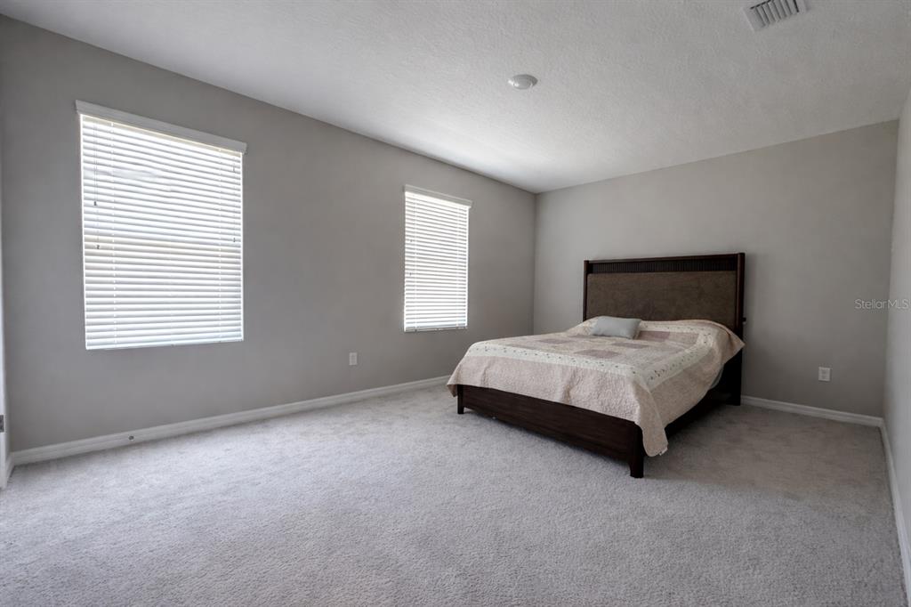 A bedroom with gray walls, carpeted flooring, two windows with blinds, and a dark bed frame — 33546 DARLEY DALE TRAIL, WESLEY CHAPEL, FL