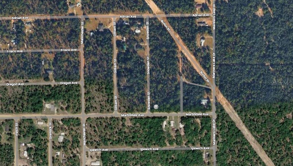 This is an aerial map view of a residential area with labeled streets and lots — LOT 1 MARTINEDALE AVENUE, INTERLACHEN, FL