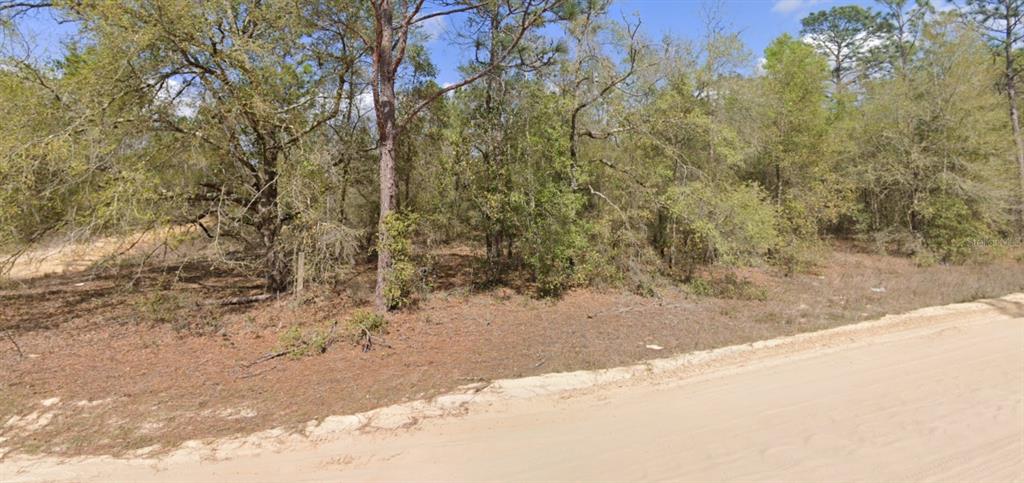 A dirt road runs alongside a wooded lot with scattered pine and oak trees — LOT 1 MARTINEDALE AVENUE, INTERLACHEN, FL
